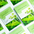 Smart Packaging for E-Commerce: Design, Protection, and Branding
